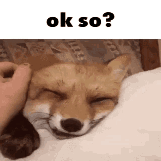 a fox is sleeping on a bed with its eyes closed and a person petting it .