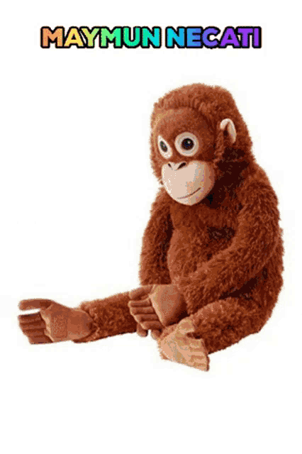 a stuffed monkey is sitting on a white background with maymun necati written on it