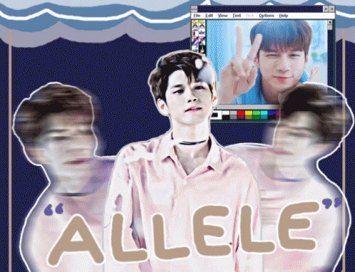 Ong Allele GIF - Ong Allele Wanna One GIFs