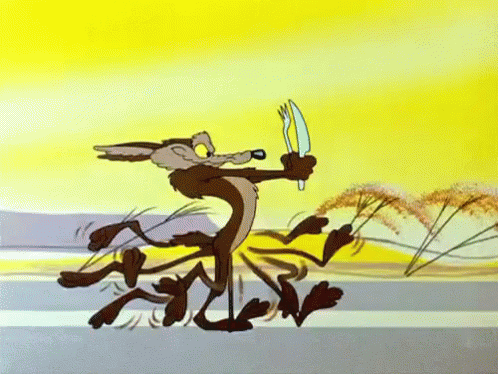 Wile Eoyote Hungry GIF - Wile Eoyote Hungry Running GIFs