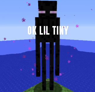 a picture of an enderman in minecraft with the words ok lil tiny on it