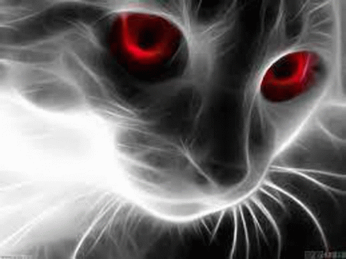 Dead Ghost Cat GIF - Dead Ghost Cat GIFs