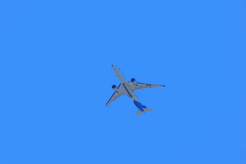 A350 Sas GIF - A350 Sas Blue Sky GIFs