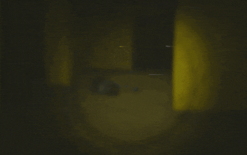 a shadow of a person is cast on a wall