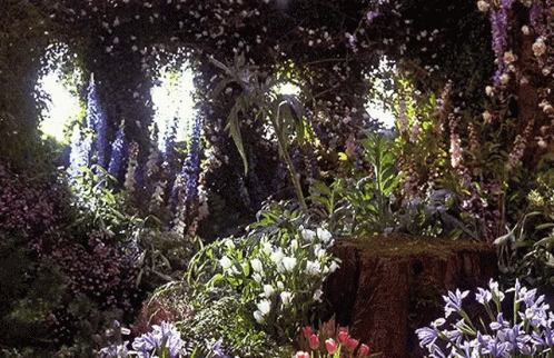 Spring Flowers GIF - Spring Flowers Beautiful GIFs