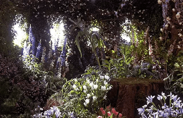 a lush green forest with lots of flowers and plants
