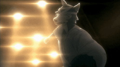 a wolf with a bandage on its head is standing in front of a row of lights