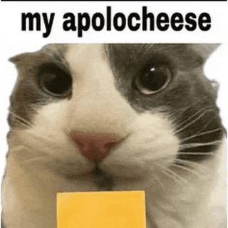 a cat is holding a piece of cheese with the words `` my apology cheese '' written above it .