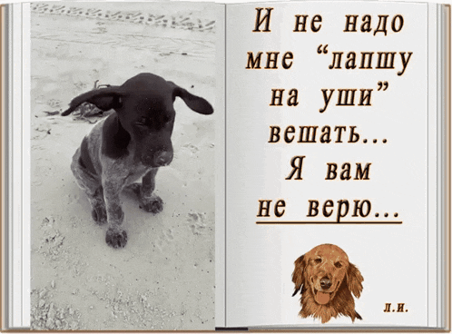 a book with a picture of a dog and a quote in russian