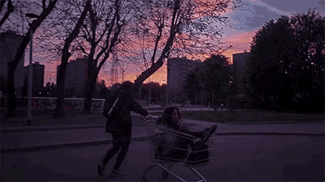 a man is pushing a shopping cart with a girl in it .