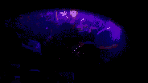 a group of people are dancing in a dark room with purple lights behind them
