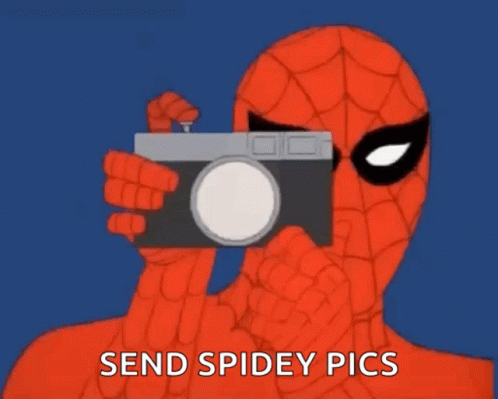 Spiderman Neat GIF - Spiderman Neat Photograph GIFs