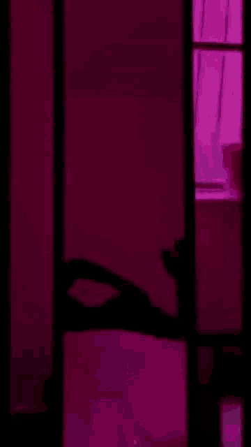 a silhouette of a person laying on a bed in front of a window with purple lights .