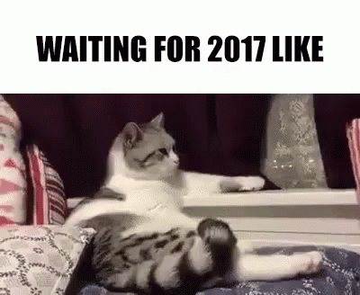 Waiting GIF - 2017 Waiting For2017 New Year GIFs