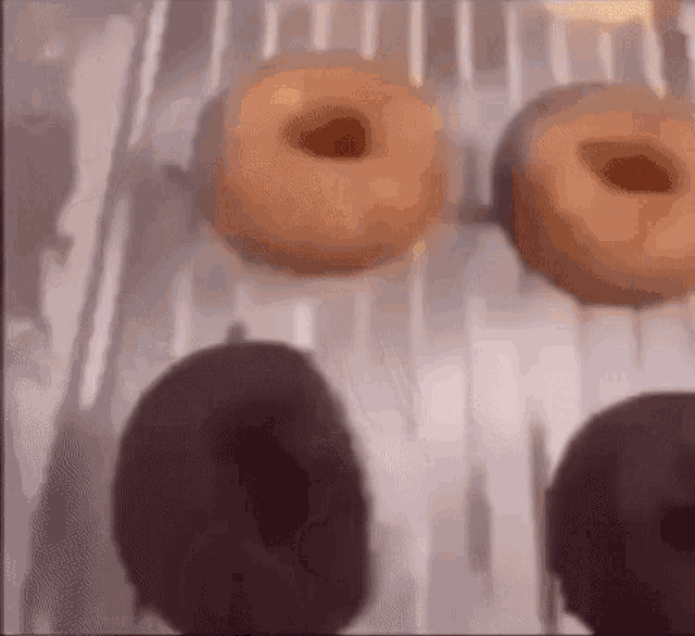 a bunch of donuts are being made on a conveyor belt in a bakery .