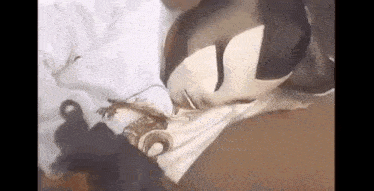 a person wearing a mask is holding a gun while laying on the floor .