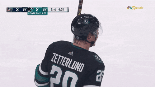 a hockey player with the name zetterlund on his back