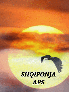 a painting of a bird flying in front of a sunset with the words shqiponja aps on the bottom