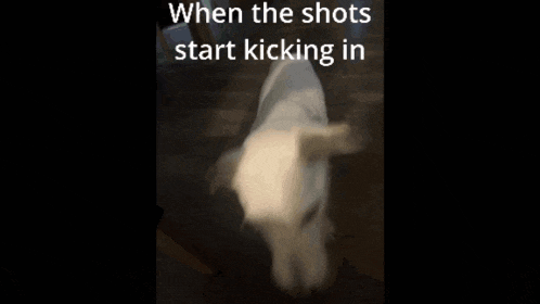 when the shots start kicking in is written on a dark background