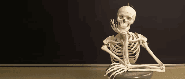 a skeleton sits in front of a blackboard with a chalkboard behind it