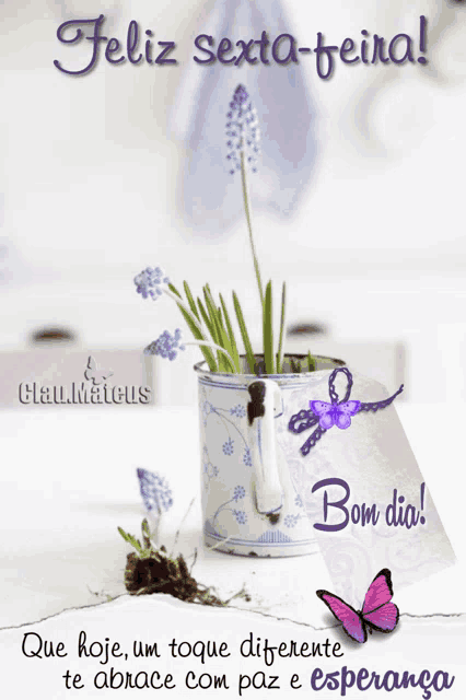 a greeting card that says feliz sexta-feira with a potted plant