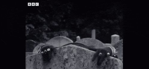 a black and white photo of a cemetery with bbc written on the bottom right