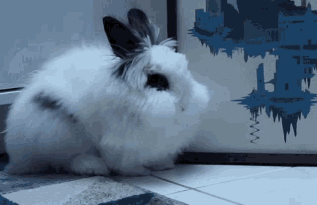 Bunny Sleep GIF