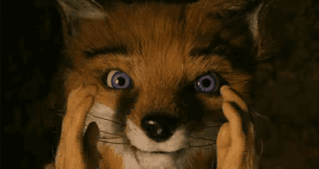 a close up of a fox 's face with blue eyes