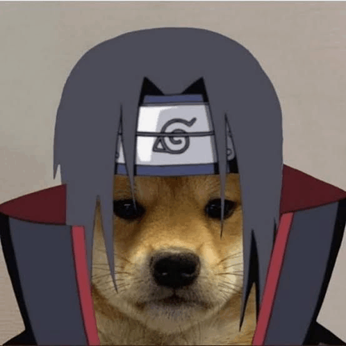 Sasuke Dog GIF