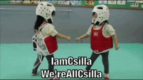 two little girls wearing karate uniforms and helmets with the words lamcsilla we 're allcsilla on the bottom