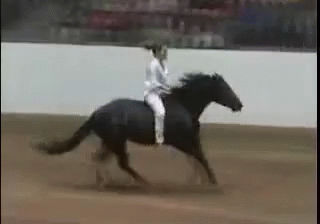 Western GIF - Horseback Riding Horseback Horse GIFs