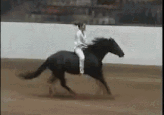a person is riding a black horse on a dirt track .