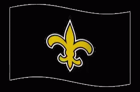 New Orleans Saints GIF - New Orleans Saints Who GIFs