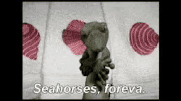 a cartoon of a seahorse with the words seahorses foreva