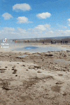 a group of people standing in a field with a tiktok watermark
