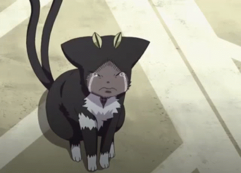 Gatito Gato GIF - Gatito Gato Anime GIFs