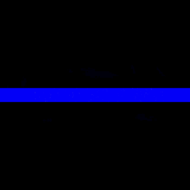 a blue banner with the words united we stand on it