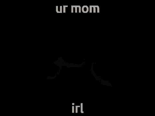 a blurred image of a person with the words ur mom irl below it