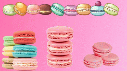 Macarons GIF - Macarons GIFs