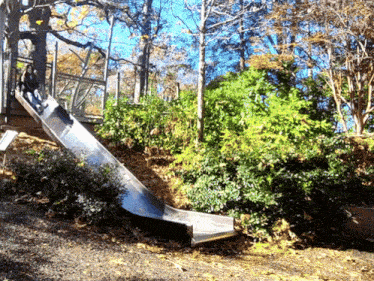 a stainless steel slide in the middle of a park