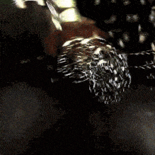 a close up of a spider 's mouth with a ring in the background