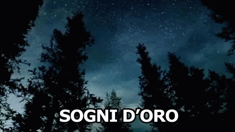 Sogni D'Oro Buona Notte Stelle Notte GIF - Sweet Dreams Good Night Stars GIFs