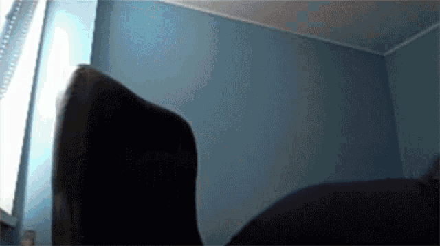 a person is wearing a pair of black socks in a room with blue walls .