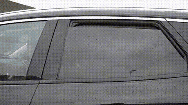 a close up of a car window with a bird flying out of it .