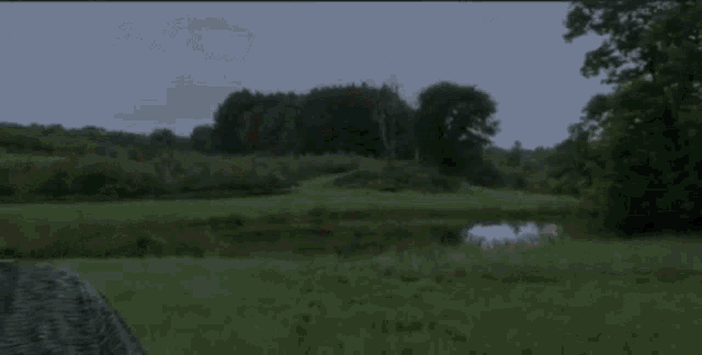 a lake in a field with trees in the background