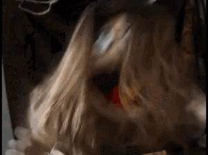 a close up of a dog with its mouth open and a red collar