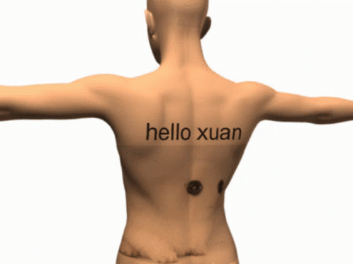 Xuan Hello GIF - Xuan Hello Yippee GIFs