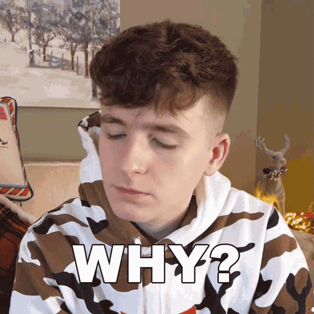 Why Adam B GIF - Why Adam B Can You Give Me The Reason GIFs
