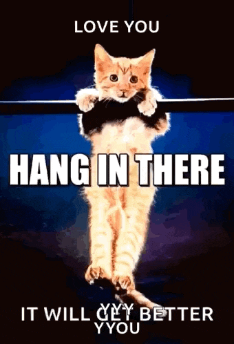 a cat is hanging on a bar with the words love you hang in there