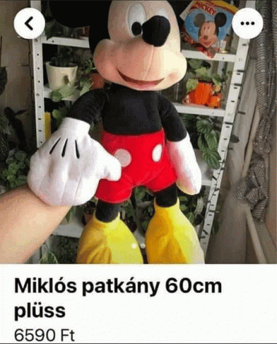 Miklós Patkány60cmplüss6590ft GIF - Miklós Patkány60cmplüss6590ft GIFs